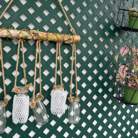 Tatil Evi Casa Laura Y Pancho Fasnia