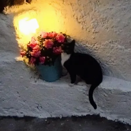 Casa Laura Y Pancho Tatil Evi *