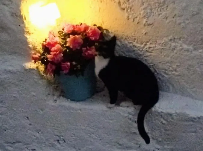 Casa Laura Y Pancho Сasa de vacaciones *